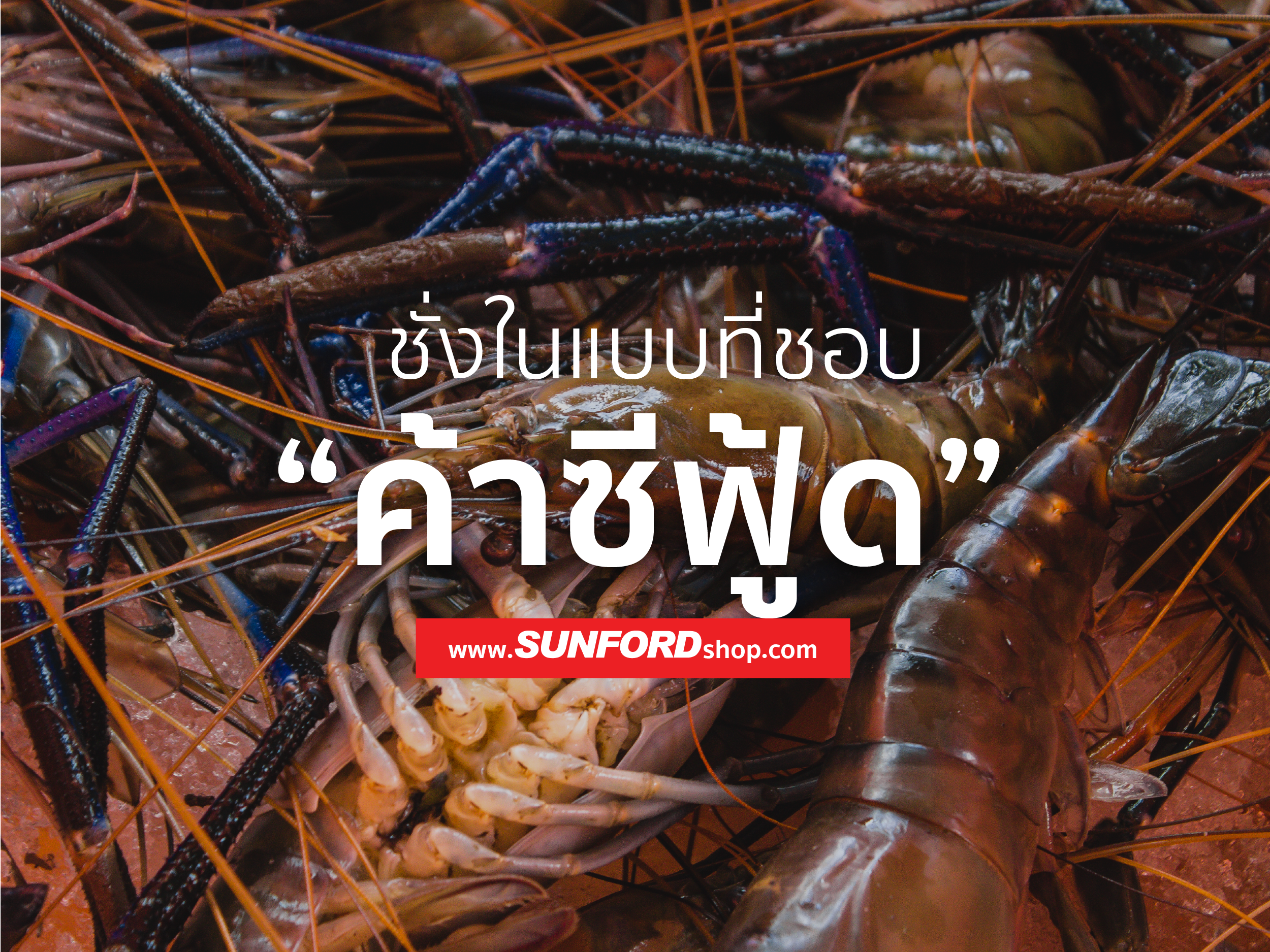 ชั่งในแบบที่ใช่กับธุรกิจคุณ! ชั่งในแบบที่ชอบ กับธุรกิจกลุ่ม “ค้าขายซีฟู้ด”