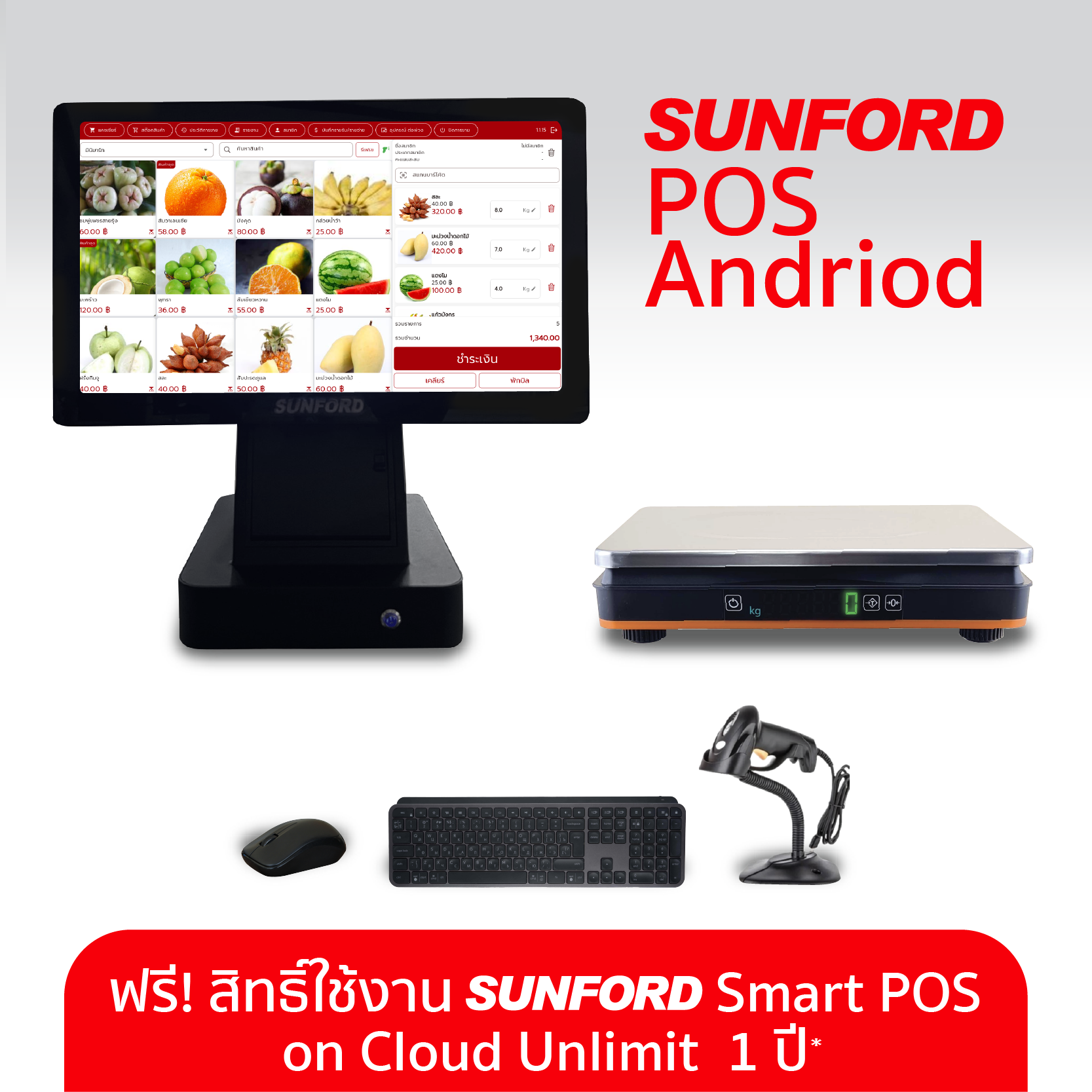 Set SUNFORD POS P1